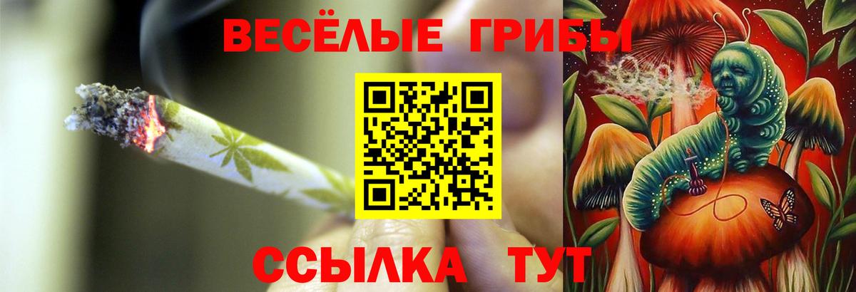 Псилоцибиновые грибы GOLDEN TEACHER Избербаш