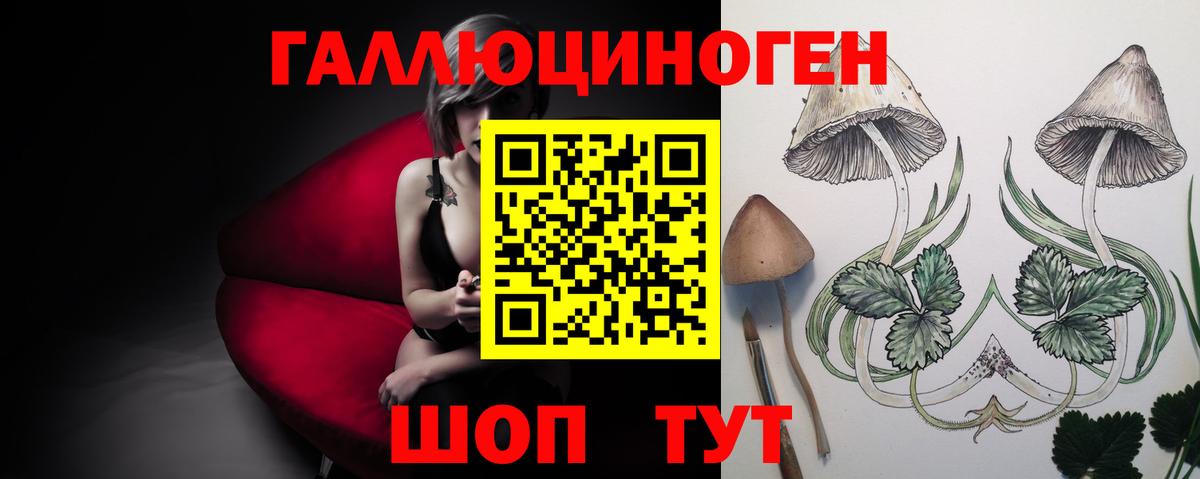 Избербаш  Галлюциногенные грибы ЛСД  Вход с VPN 